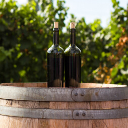 Taste of the Vines on Instagram